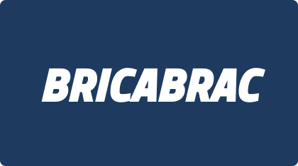 Bricabrac.ai Logo