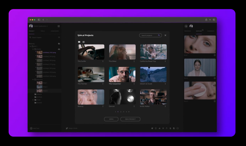 Fylm.ai main window with examples